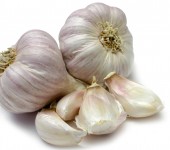 garlic